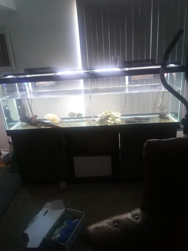 Very Nice Hundred 25 Gallon Aquarium It's Almost Brand New About 3 Months Ago