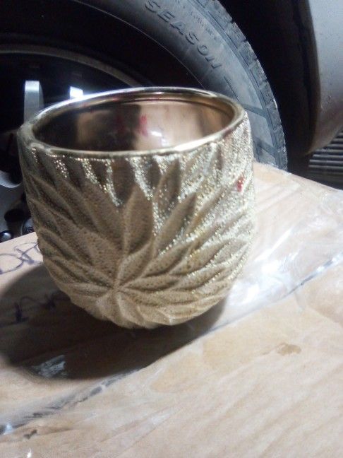 Gold Cup