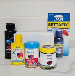 Betta Fish Supplies