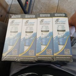 Refrigerator Water Filter