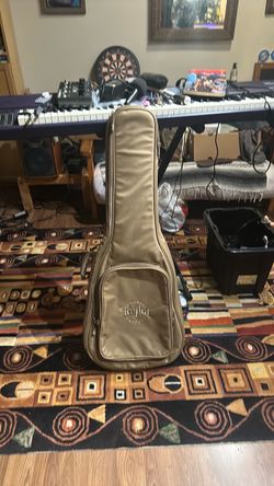 Taylor Dreadnaught Soft Case