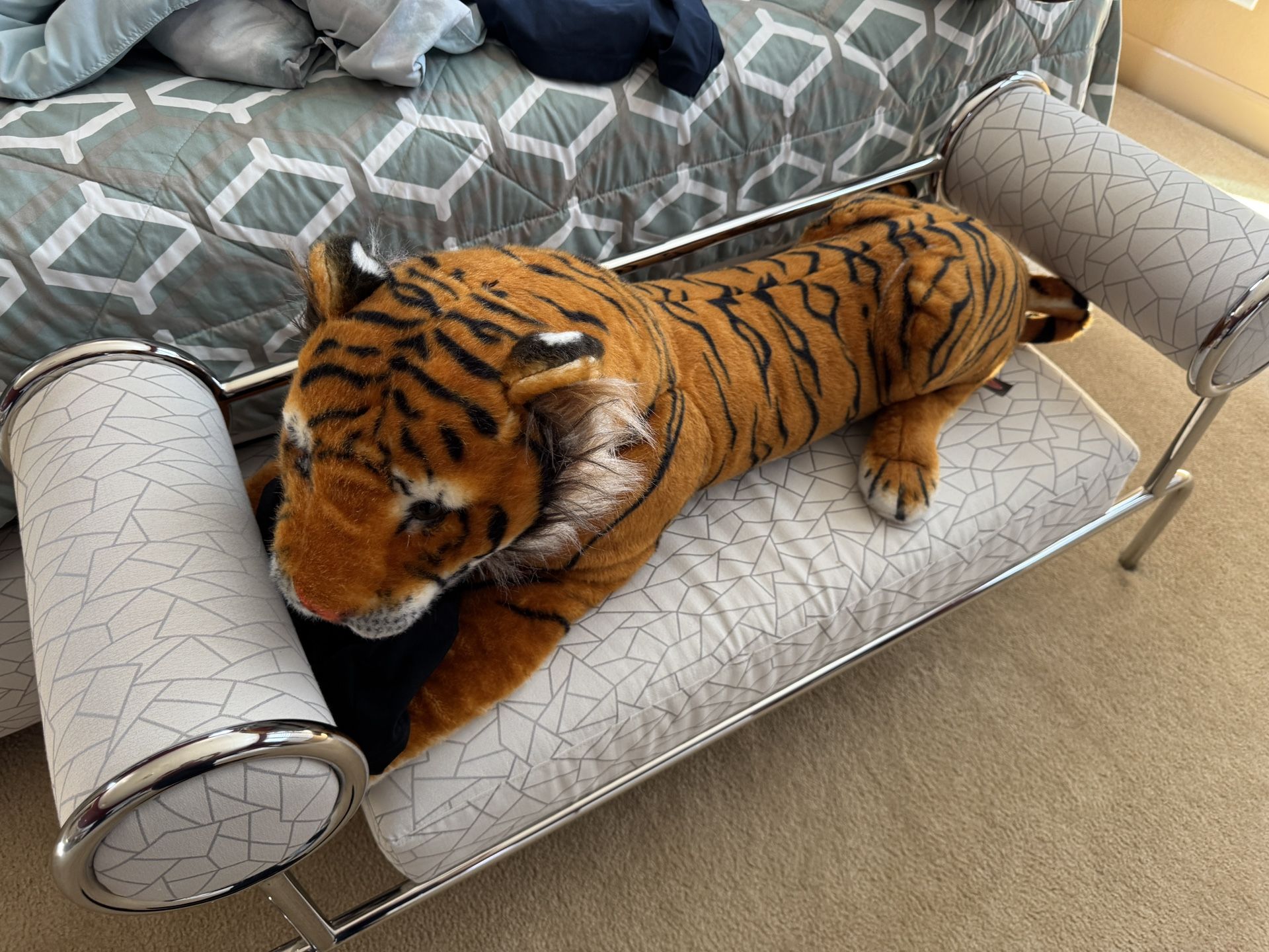Giant Tiger