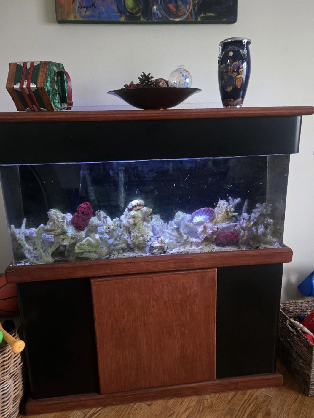 Extra Large Fish Tank