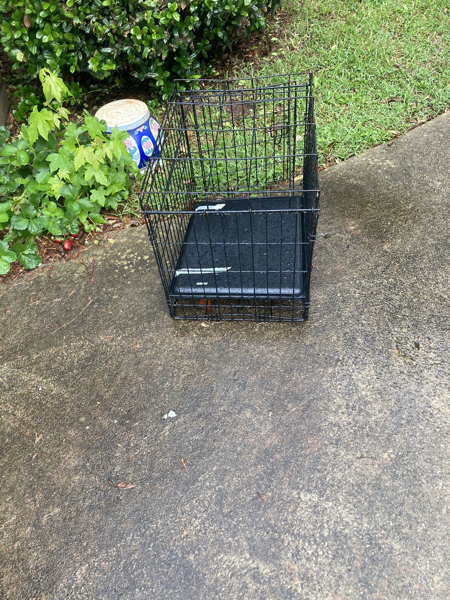 Pet Cages
