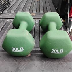 PAIR  OF  20  LB.  RUBBER  NEOPRENE  DUMBBELLS 
