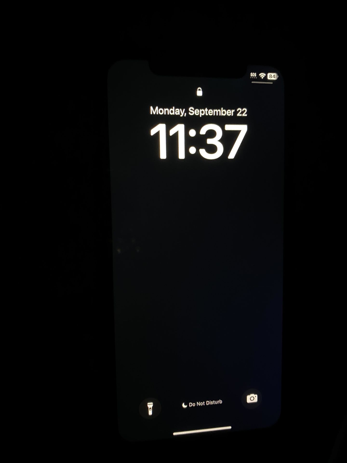 Purple iphone 11