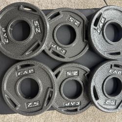 (6) 2.5lb Barbell plates 15lb Total