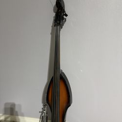 Uprigth Bass Palatino 
