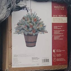 Holiday Decor