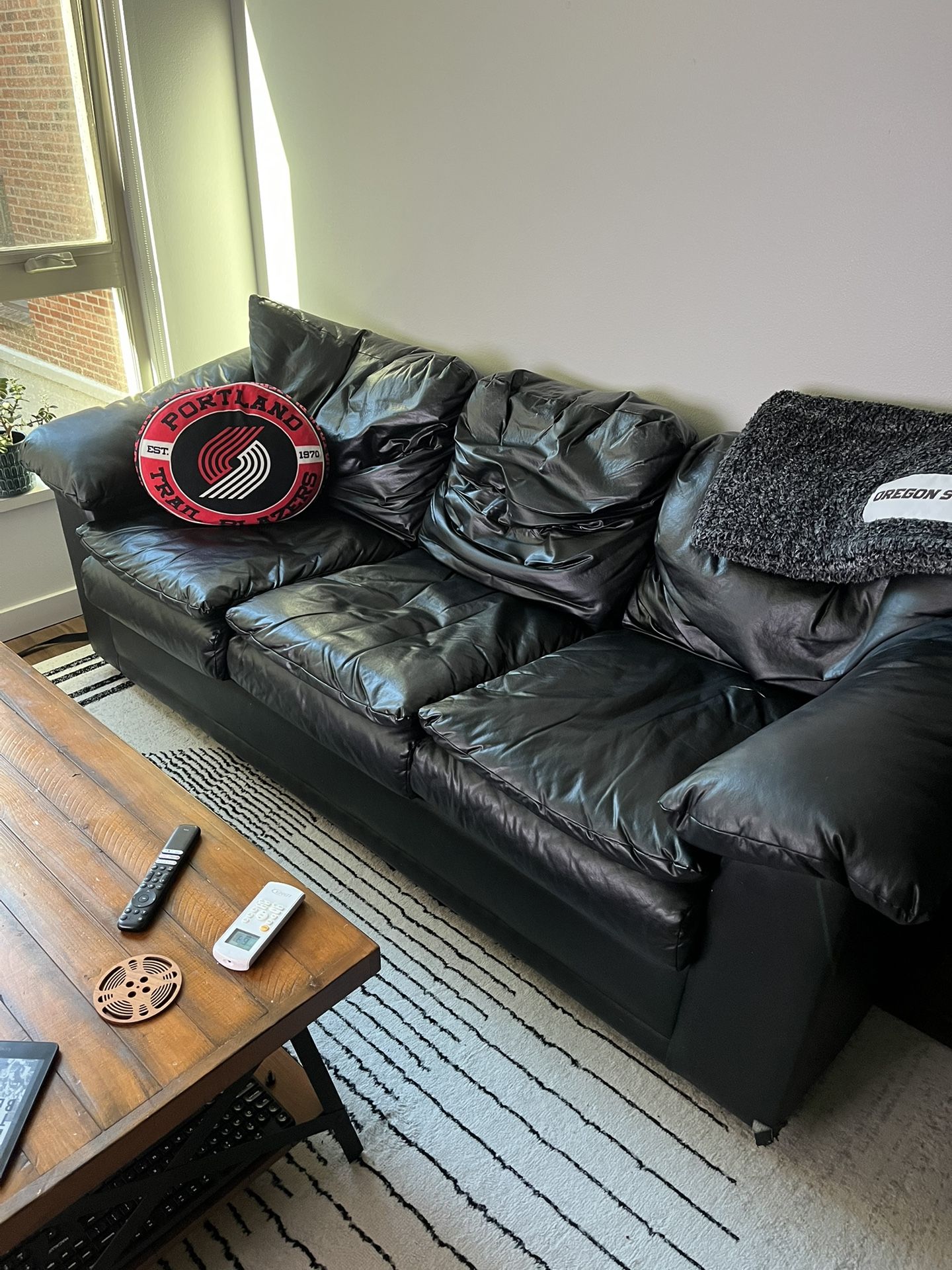 Leather Couch With Fold Out Bed