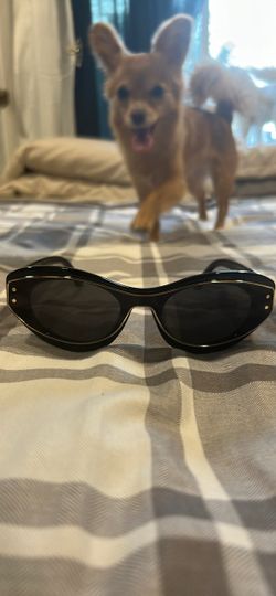 Black Cat-Eye Sunglasses with Gold Trim