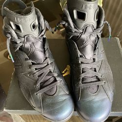 Retro Jordan 6’s Chameleon Size 12