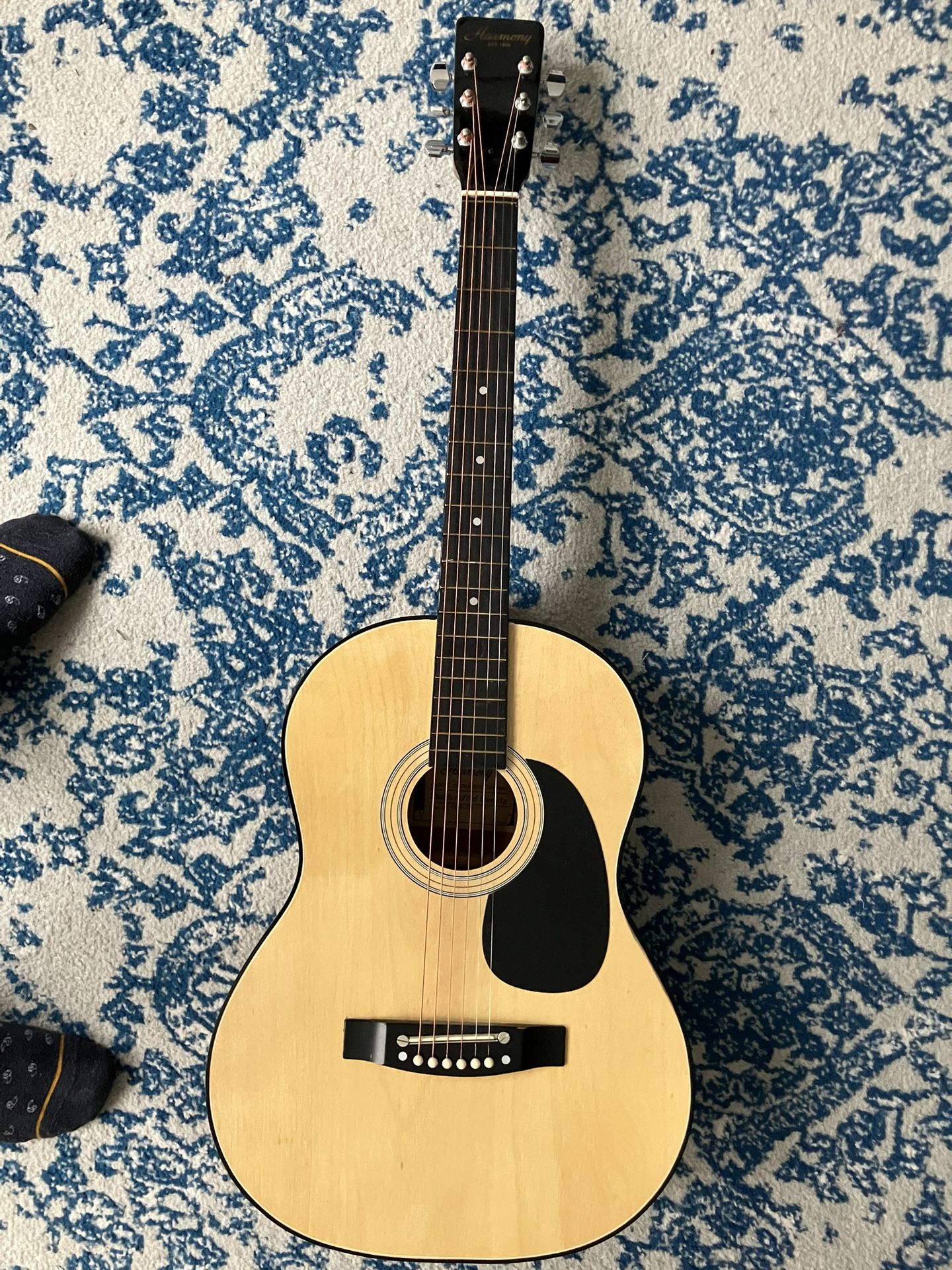 Acoustic Guitar