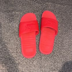 Puma Slides 