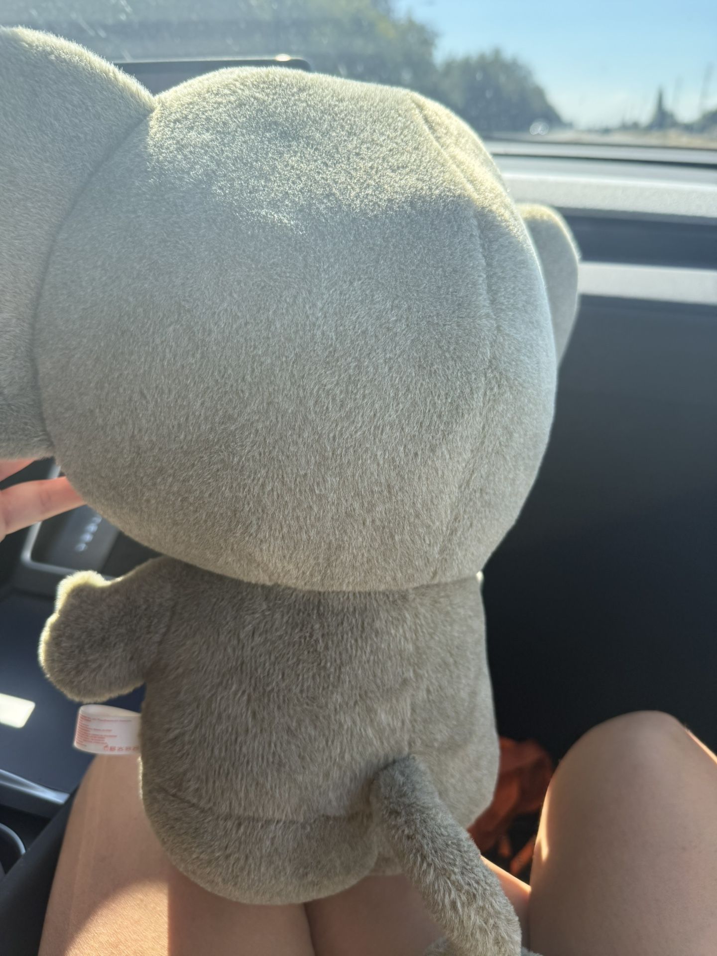 Hello kitty Plush