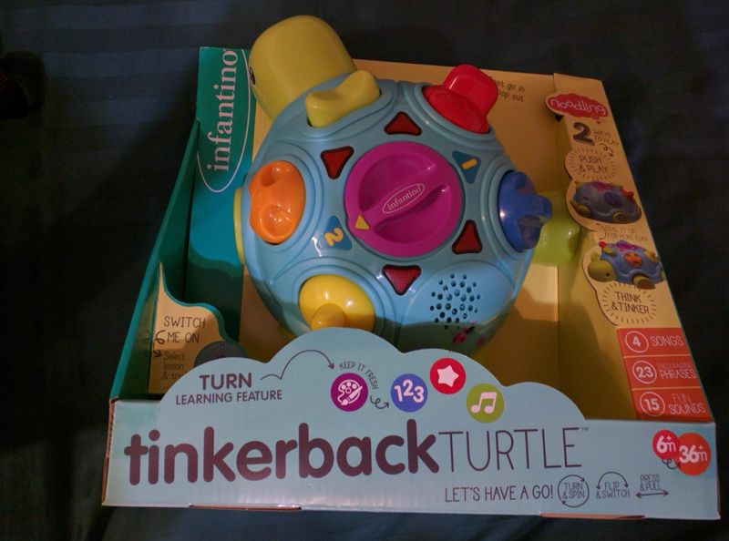 Tinkerback turtle