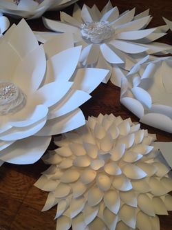 Paper flower !