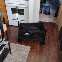 Collapsible Wagon 