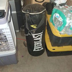 Punching Bag