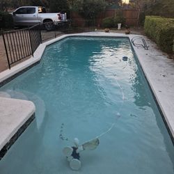 Pool Care/leaf Removal