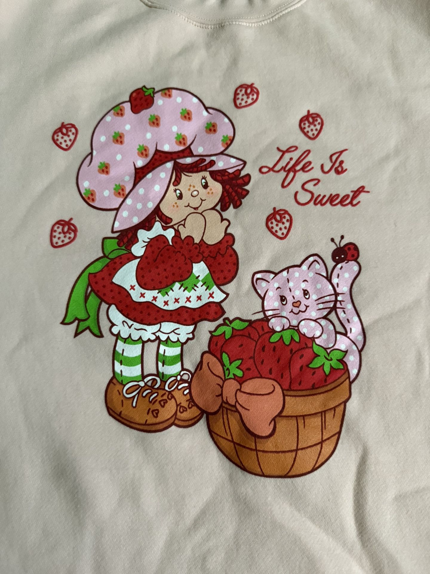 Box Lunch Strawberry Shortcake Pink Crewneck