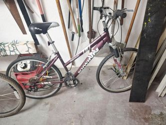 Bicycle  Mens