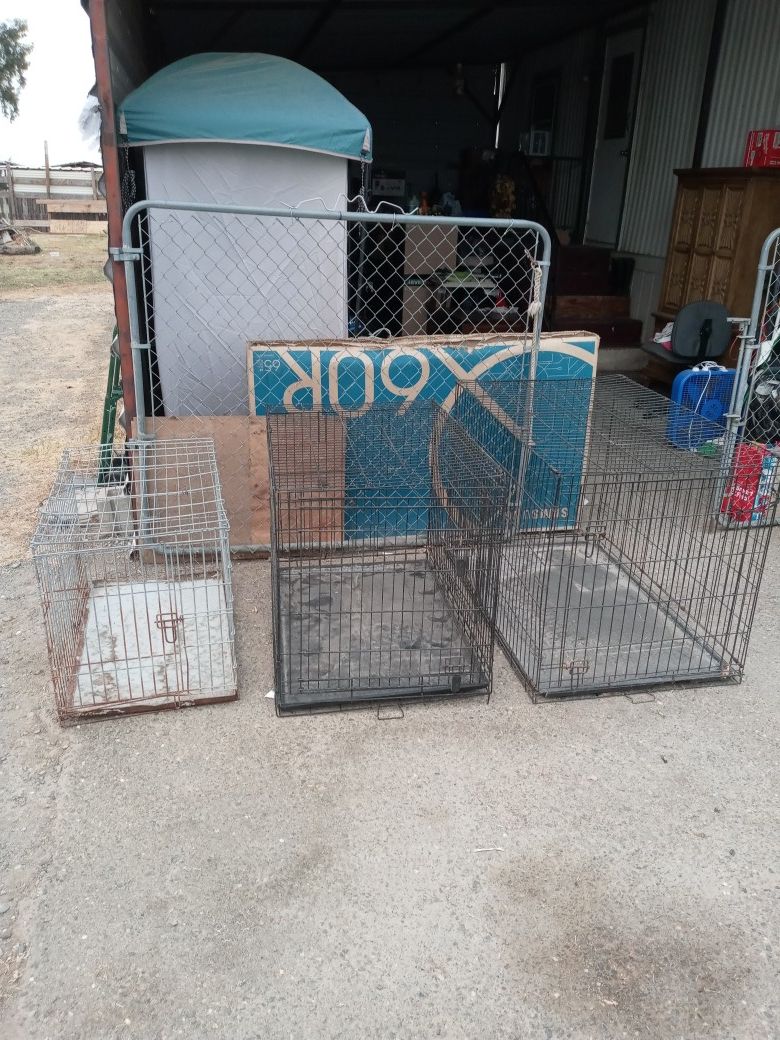 Dog Kennels