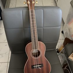 Lanikai ukulele