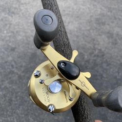Shimano Calstar Rod And Reel