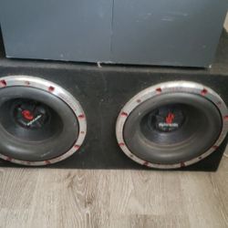 2 10 Inch Digital Audio Subwoofers In Box. $150. Pickup In Oakdale 