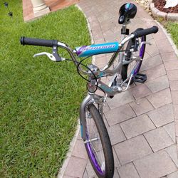 Schwinn Kids Bike 20”