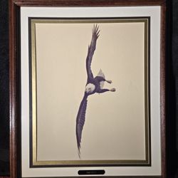 "Top Gun" Framed And Certified Bald Eagle Art Limited Edition 