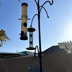 Bird Feeder