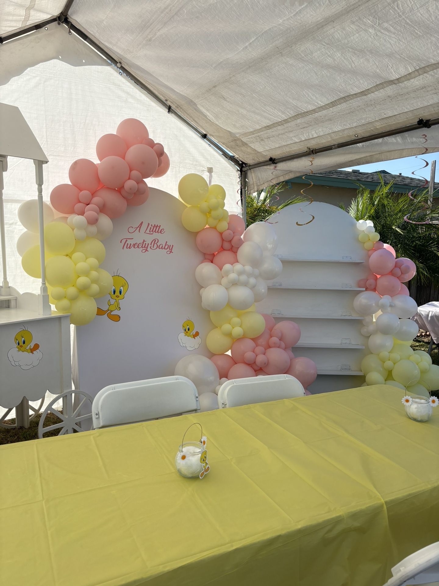 Tweety Backdrop