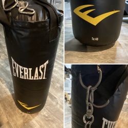Everlast Punching Bag