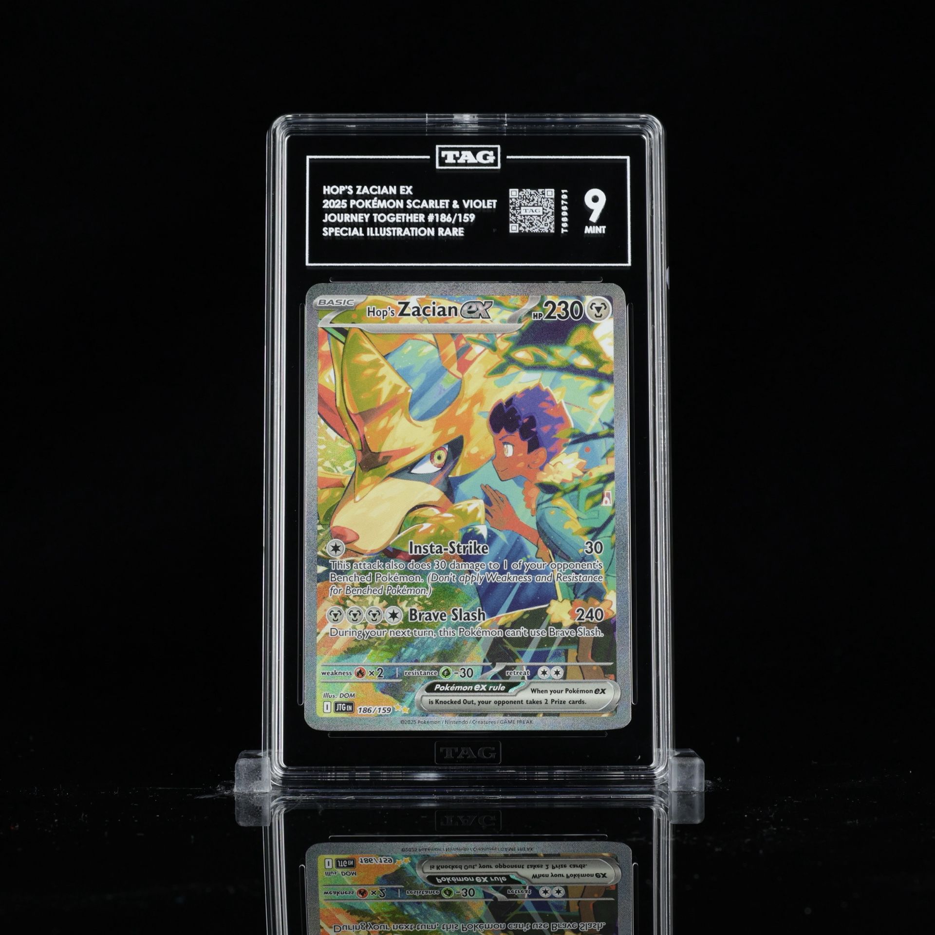 Hop’s Zacian - TAG 9