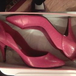 Lady's Heels 