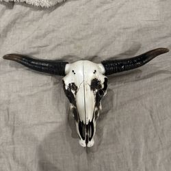 Skull Bull Head - Home Decor 