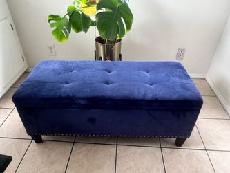 Blue ottoman & storage