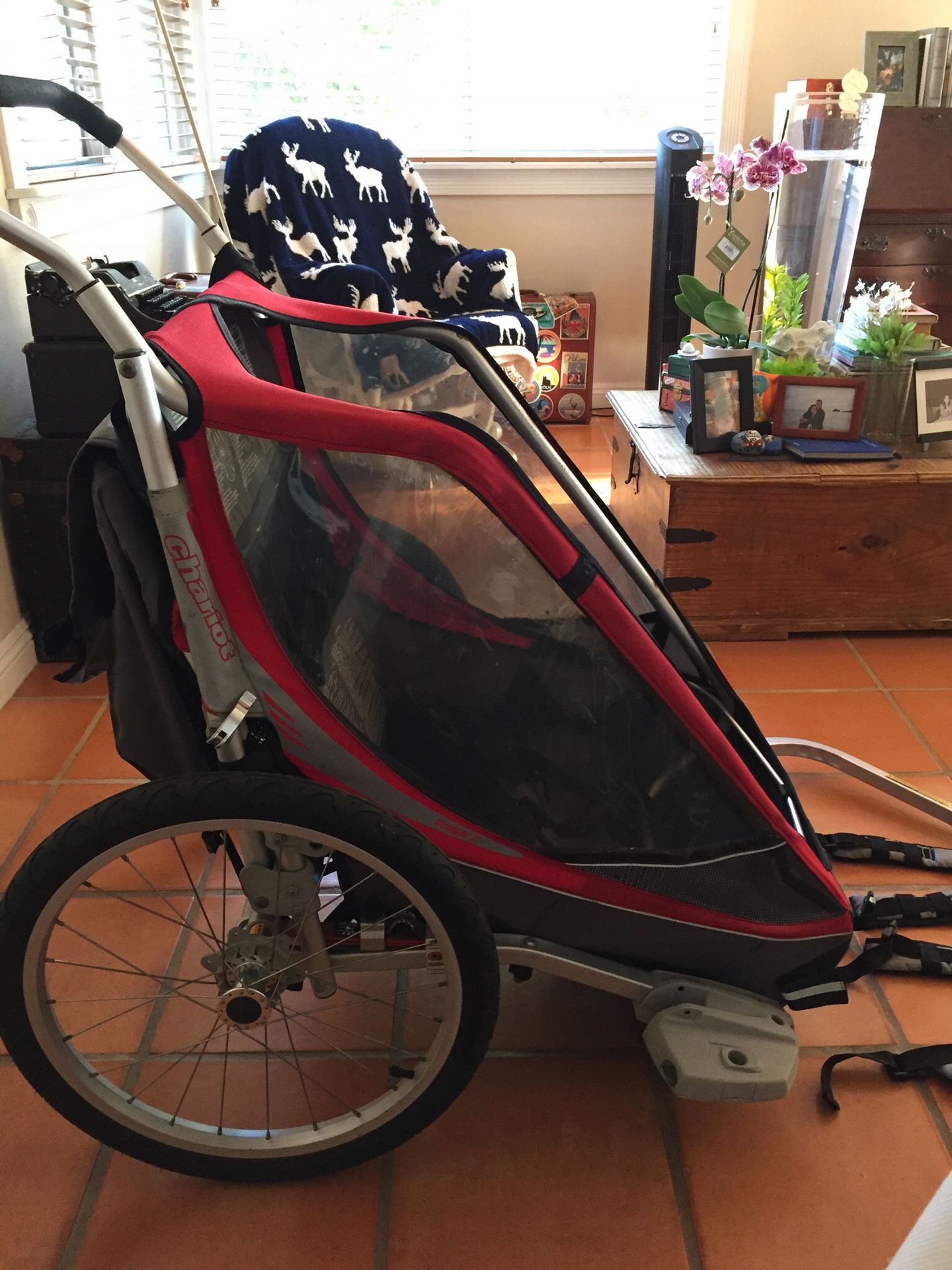 Bike chariot trailer for 2 children