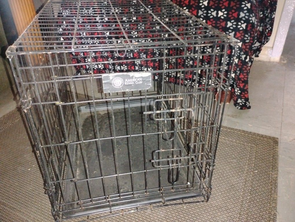 Dog Kennel 