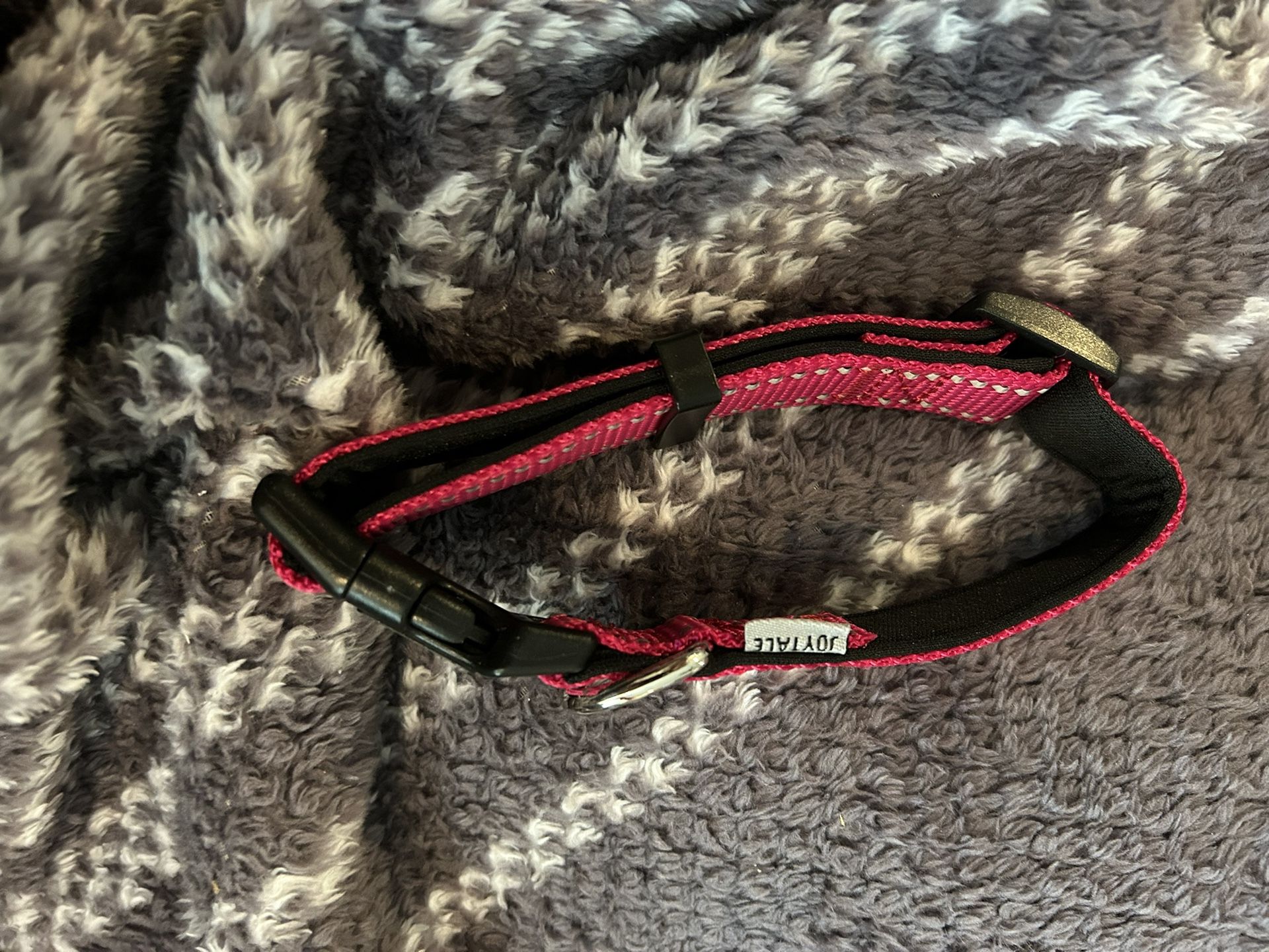 Medium Size Collar Dog Cat