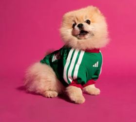 Pet Jersey 26 Mexico (Size L)