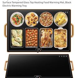 Large Warming Tray Or Warming Mat 
