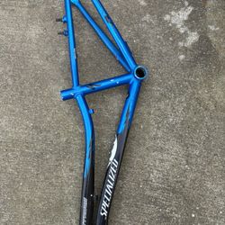 Specialized Frame Bike 