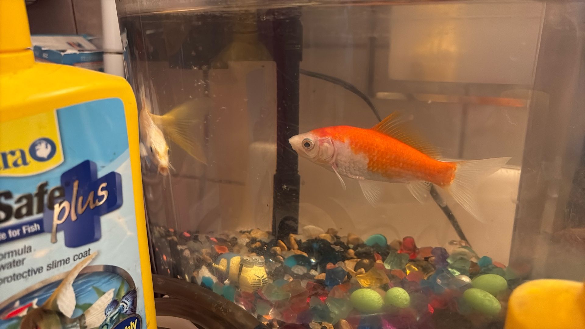 Fish Tank/ Heater /filter 