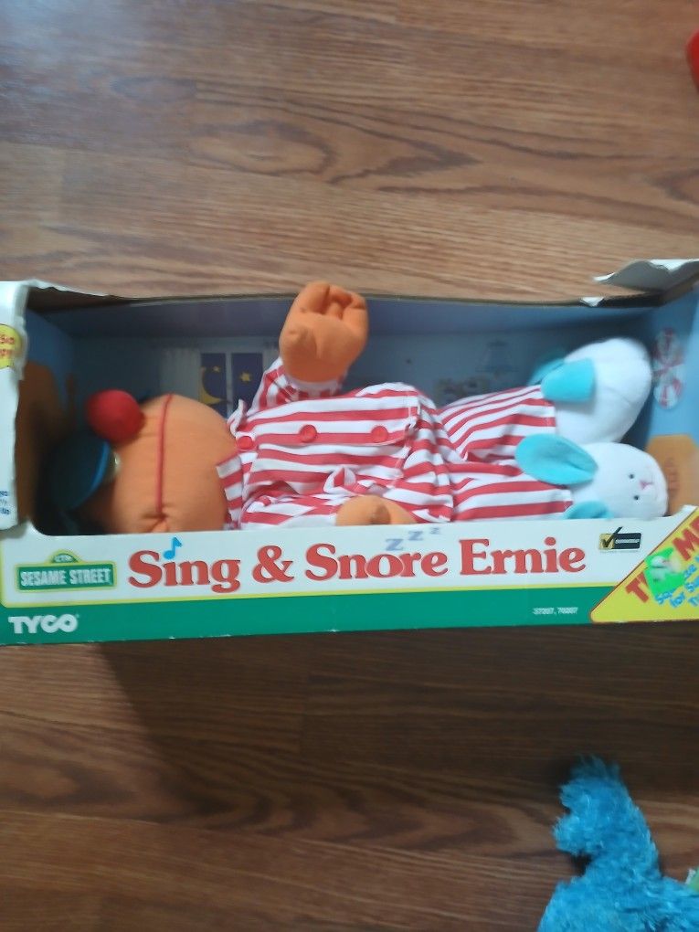 Sleeping Ernie