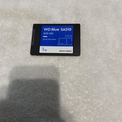 Western Digital 1TB WD Blue SA510 