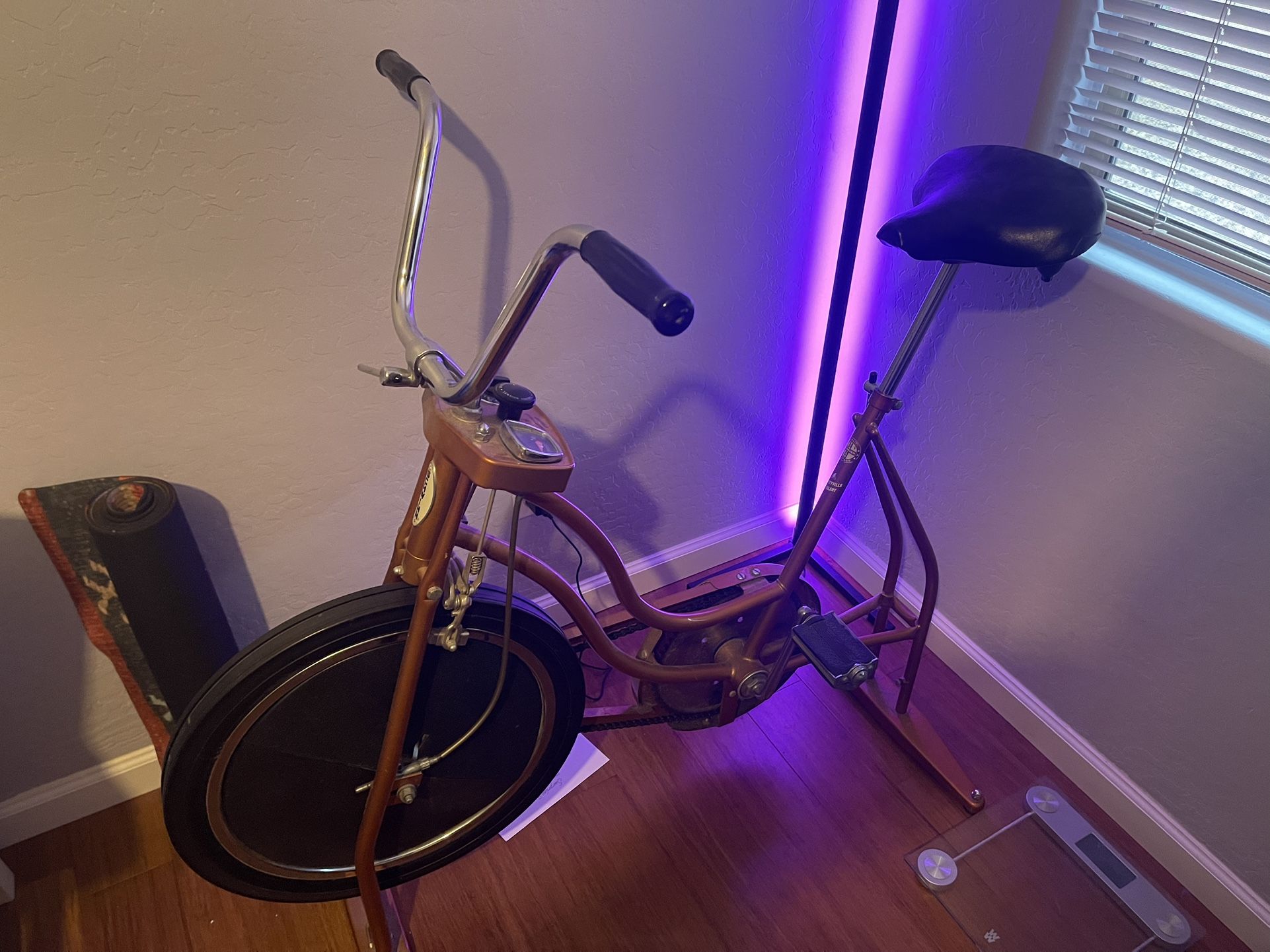 vintage schwinn spinner/exercise bike