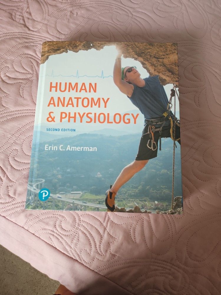 Human Anatomy And Physiology